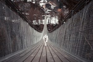 吊橋
